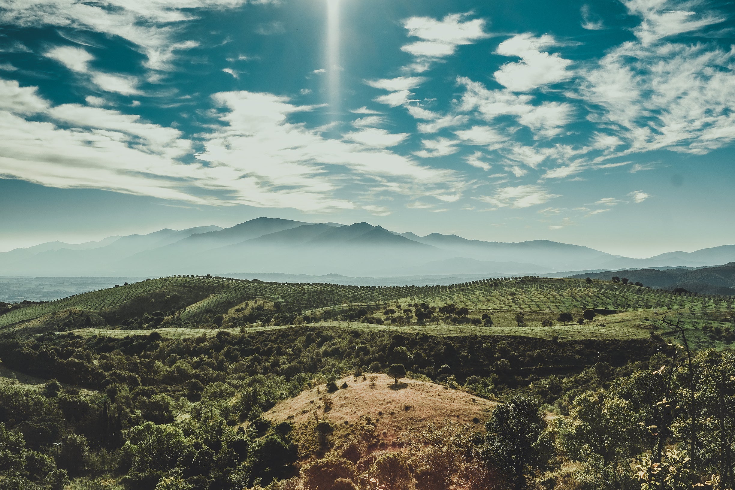 Scenic view of a hilly landscape with greenery and mountains under a blue sky.